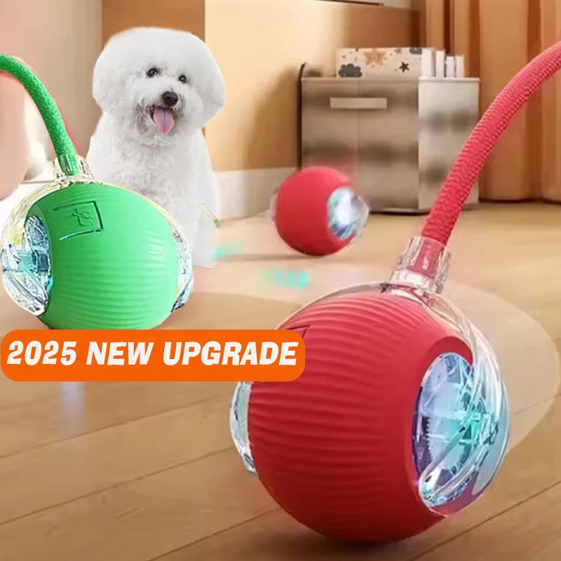 New Dog Interactive Ball Toy,Automatic Rolling Dog Ball Rechargeable