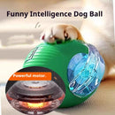 New Dog Interactive Ball Toy,Automatic Rolling Dog Ball Rechargeable