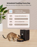 Smart Pet Feeder Automatic Cat Feeder Dog Food Machine