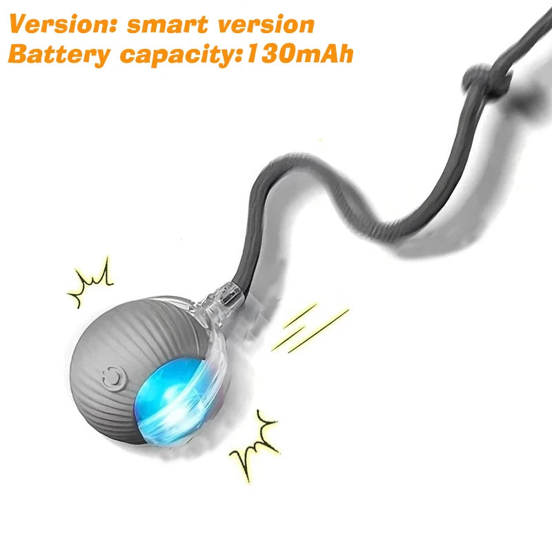 New Dog Interactive Ball Toy,Automatic Rolling Dog Ball Rechargeable