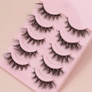5 Pairs Cat Eye Lashes Faux