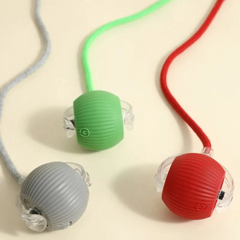 New Dog Interactive Ball Toy,Automatic Rolling Dog Ball Rechargeable