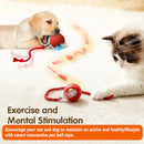 New Dog Interactive Ball Toy,Automatic Rolling Dog Ball Rechargeable