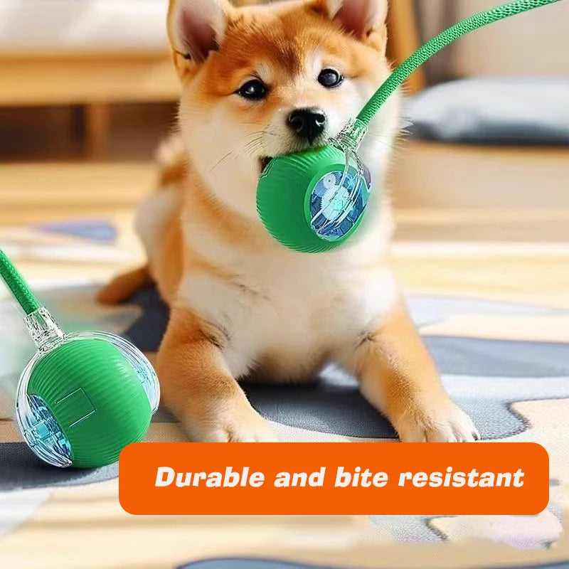 New Dog Interactive Ball Toy,Automatic Rolling Dog Ball Rechargeable