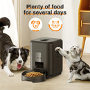 Smart Pet Feeder Automatic Cat Feeder Dog Food Machine