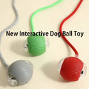 New Dog Interactive Ball Toy,Automatic Rolling Dog Ball Rechargeable