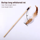 Creative Teaser Feather Toys Kitten Funny Colorful