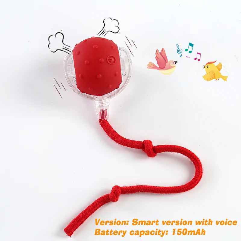 New Dog Interactive Ball Toy,Automatic Rolling Dog Ball Rechargeable
