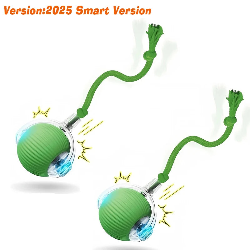 New Dog Interactive Ball Toy,Automatic Rolling Dog Ball Rechargeable