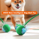 New Dog Interactive Ball Toy,Automatic Rolling Dog Ball Rechargeable