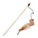 Creative Teaser Feather Toys Kitten Funny Colorful