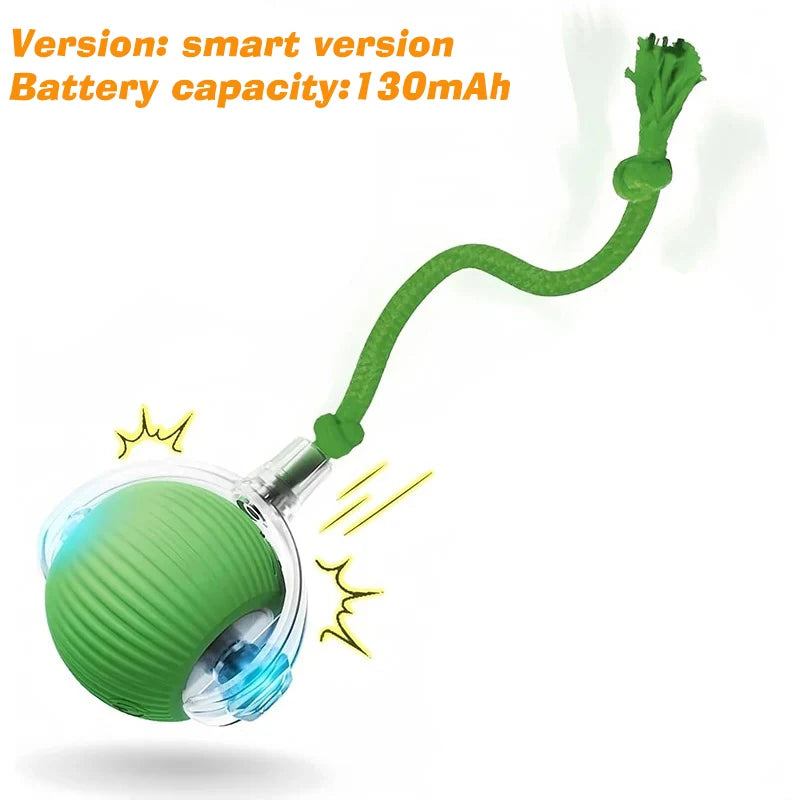 New Dog Interactive Ball Toy,Automatic Rolling Dog Ball Rechargeable