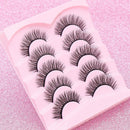 5 Pairs Cat Eye Lashes Faux