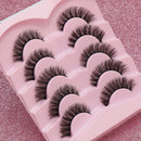 5 Pairs Cat Eye Lashes Faux
